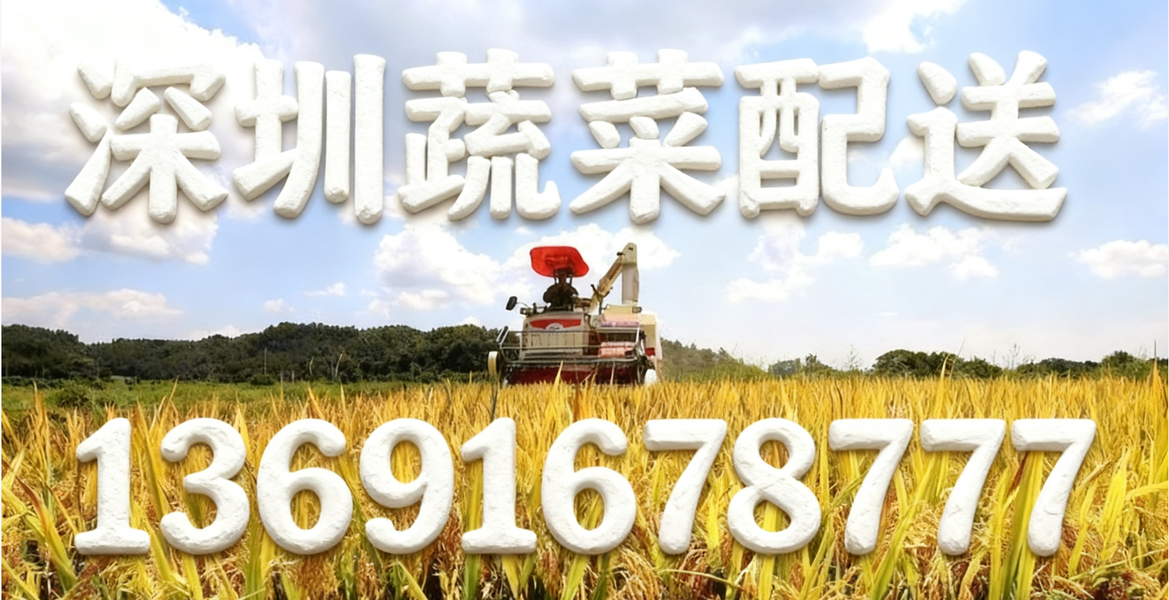 東莞蔬菜配送中心?解讀:“十五五” 怎么讓大家吃得更穩、更優？