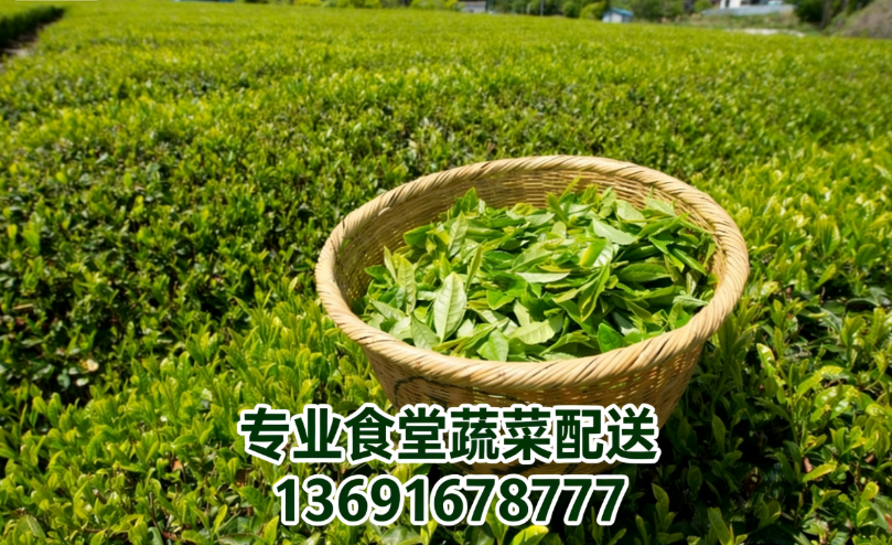 長期喝綠茶到底好不好？佳惠鮮送菜公司來為您解答！
