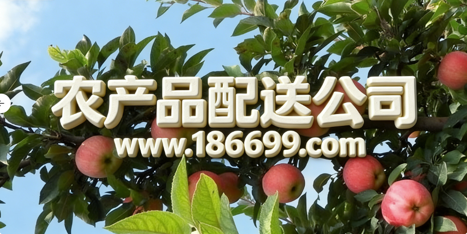 全球蘋果種植面積和產量最多的國家是哪里？