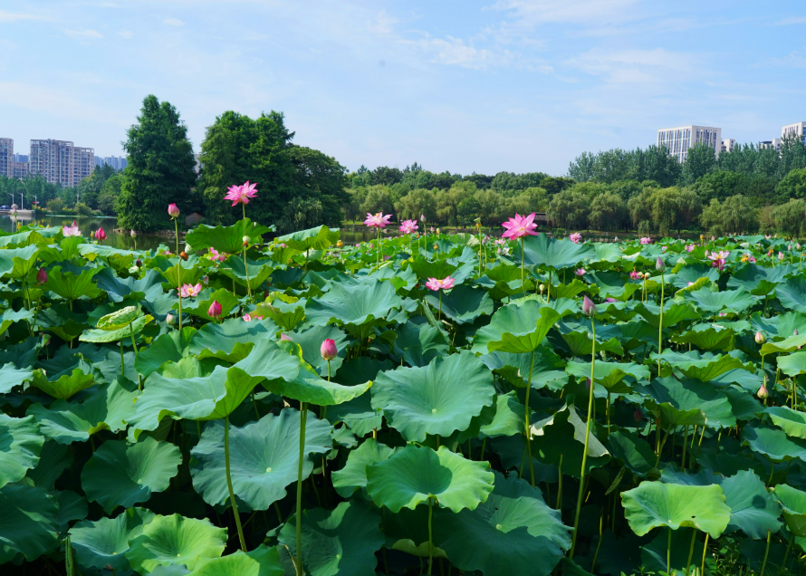 1761839735.png 2233.png