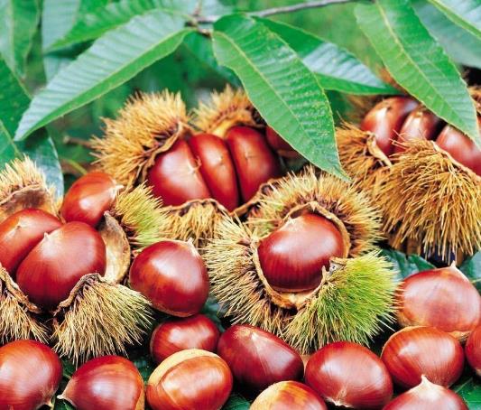 1762175244.jpg 3C9F21A971ACF623E16BA2503034A804.jpg