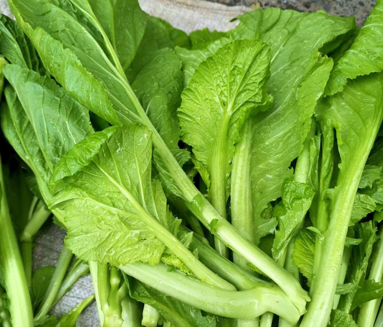 深圳蔬菜配送公司科普:為什么冷凍蔬菜不宜反復(fù)解凍冷凍?