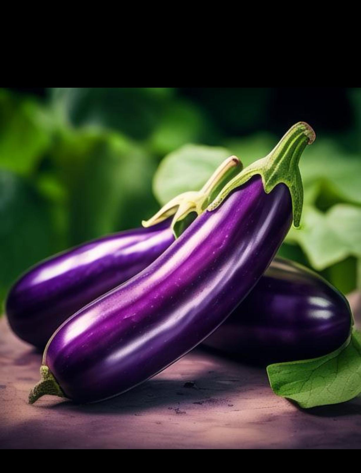 惠州食材配送中心談一談:茄子有哪些營養(yǎng)價(jià)值