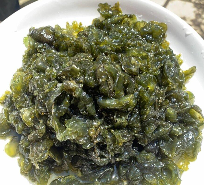 地皮菜：雨后才有的特產，吃的是山野的饋贈